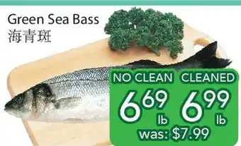 Ample Food Market Green sea bass offer