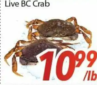 Bestco Food Mart Live bc crab offer