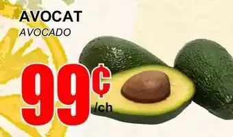Marche Salaberry Avocat offer
