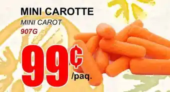Marche Salaberry Mini carotte offer