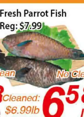 Seasons Foodmart Fresh parrot fish offer