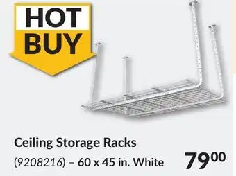 Princess Auto Ceiling storage racks offer