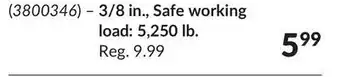 Princess Auto Grade 70 slip hooks offer