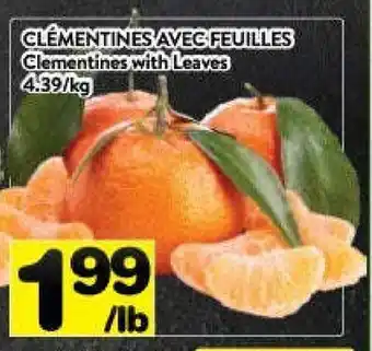 Supermarché PA Clementines with leaves offer