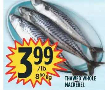 Marché Adonis Thawed whole mackerel offer