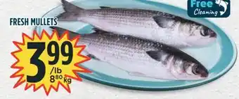 Marché Adonis Fresh mullets offer