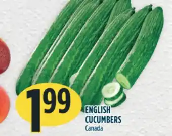 Marché Adonis English cucumbers offer