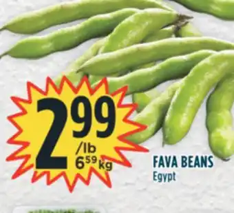 Marché Adonis Fava beans offer