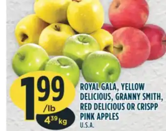 Marché Adonis Royal gala, yellow delicious, granny smith, red delicious or crispp pink apples offer