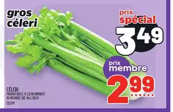 Metro Céleri | celery offer
