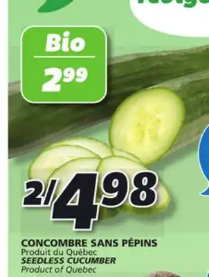 IGA Seedless cucumber offer