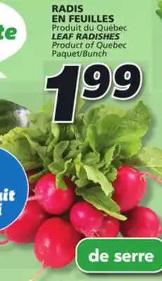 IGA Leaf radishes offer