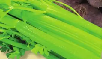 IGA Celery offer