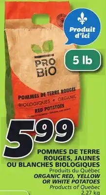 IGA Organic red, yellow or white potatoes offer