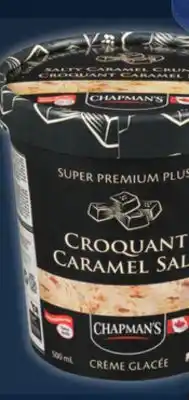 IGA Super premium plus ice cream, sorbet or frozen yogurt offer