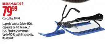 Canadian Tire H2o spider snow racer offer