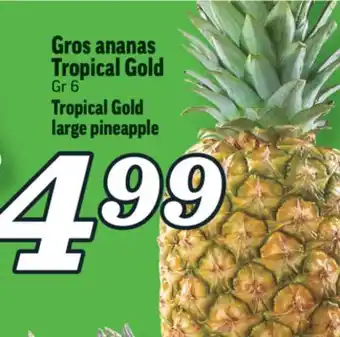 Marché Richelieu Gros ananas tropical gold | tropical gold large pineapple offer