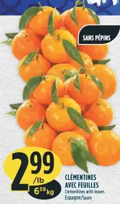 Marché Adonis Clémentines avec feuilles offer