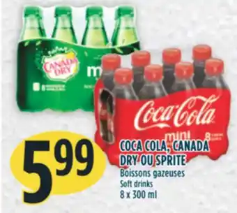 Marché Adonis Coca cola, canada dry ou sprite boissons gazeuses offer