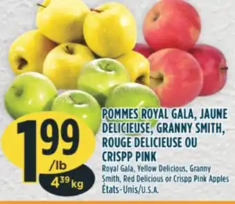 Marché Adonis Pommes royal gala, jaune delicieuse, granny smith, rouge delicieuse ou crispp pink offer