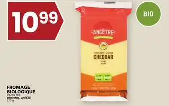 Rachelle-Bery Grocery L'ancêtre organic cheese offer