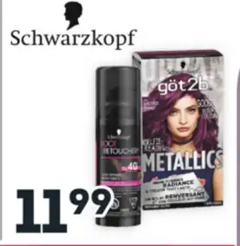 Brunet Schwarzkopf offer