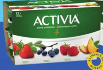 Provigo Activia /md, 12 x 100 g offer