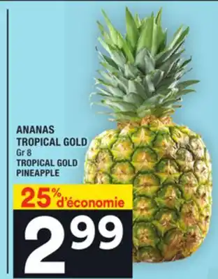 Super C Ananas tropical gold | tropical gold pineapple offer