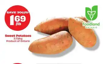 Metro Sweet potatoes offer