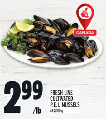 Metro Fresh live cultivated p.e.i. mussels offer
