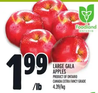 Metro Large gala apples offer