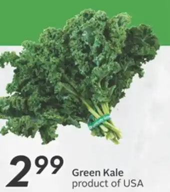 Sobeys Green kale offer
