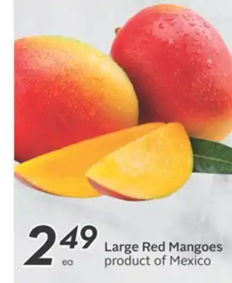Sobeys Large red mangoes offer