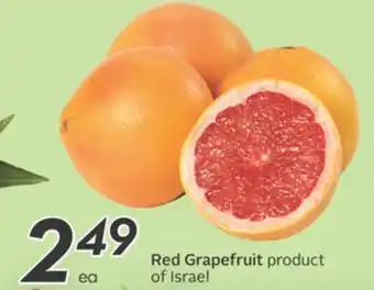 Sobeys Red grapefruit offer