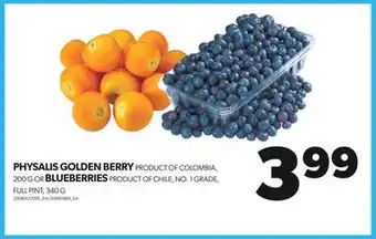 Real Canadian Superstore Physalis golden berry product of colombia, 200 g or blueberries product of chile, no. 1 grade, full pint, 340 g offer