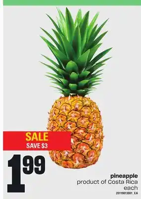 Loblaws Pineapple offer