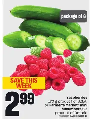 Loblaws Raspberries, 170 g or farmer's market mini cucumbers, 6's offer