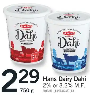 Fortinos Hans dairy dahi, 750 g offer
