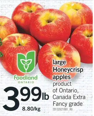 Fortinos Large honeycrisp apples offer