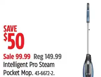 Canadian Tire Intelligent pro steam pocket mop offer