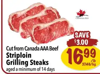 Farm Boy Cut from canada aaa beef striploin grilling steaks offer
