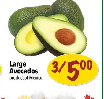 Farm Boy Large avocados offer
