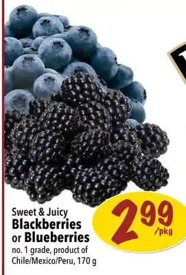 Farm Boy Sweet & juicy blackberries or blueberries offer