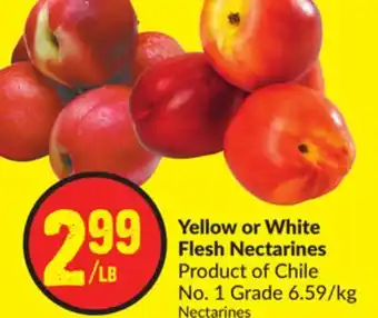 FreshCo Yellow or white flesh nectarines product of chile no. 1 grade 6.59/kg offer