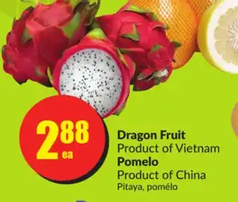 FreshCo Dragon fruit product of vietnam pomelo product of china offer
