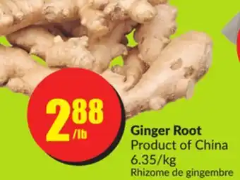 FreshCo Ginger root product of china 6.35/kg offer