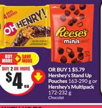Chalo FreshCo Hershey's stand up pouches 163-290 g or hershey's multipack 172-232 g offer