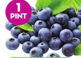 Giant Tiger 1 pint blueberries offer