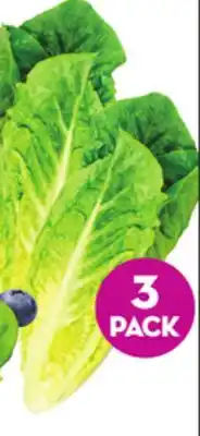 Giant Tiger 3 pack romaine hearts offer