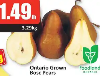 Starsky Ontario grown bosc pears offer